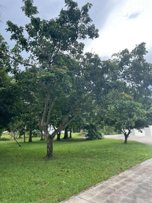 La Finca... Beautiful Countryside Home ! North North Naples 외부 사진